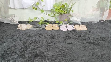 Flip Flops Videos And Porn Clips Clips Sale