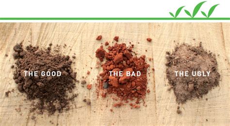 Good Vs Bad Soil How To Prep Soil For Your Garden Curbly