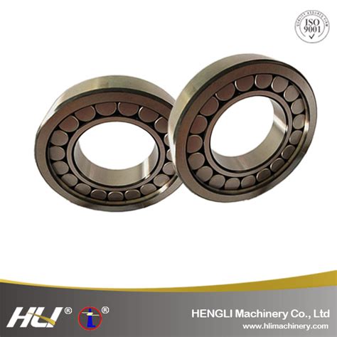 N313EM Hot Sale Brass Cage Cylindrical Roller Bearing With Polyamide