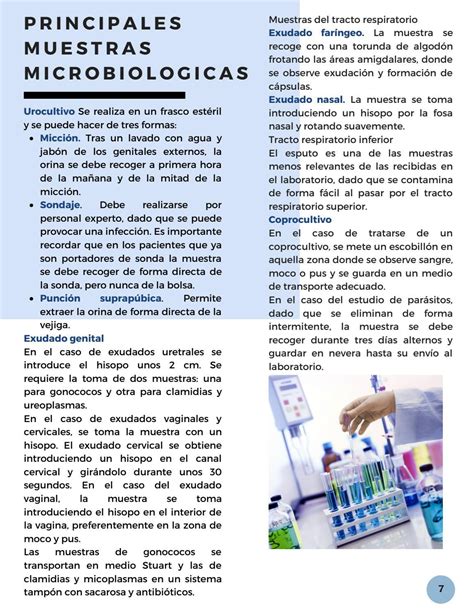 Toma Y Manejo De Muestras En Microbiologia By Citalinsolis Issuu