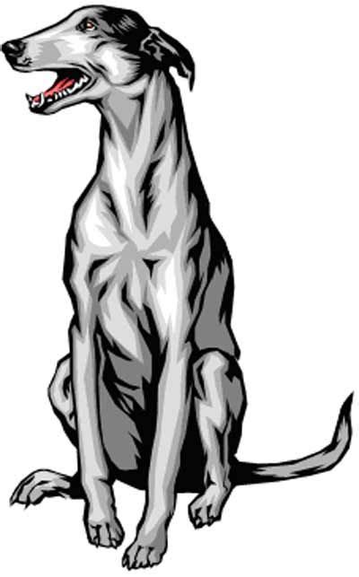 Greyhound Greyhound Rescue Cleveland Pets Dog Clipart Grey Hound