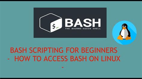 BASH Scripting For Beginners How To Access Bash On Linux YouTube