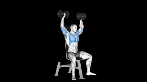 Dumbbell Shoulder Press – How To Video, Alternatives & More