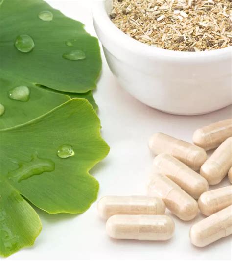 21 Side Effects Of Ginkgo Biloba Recommended Dosage