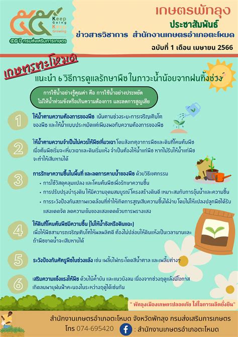 50 แนะนำ 6 วิธี การดูแลรักษาพืชในภาวะน้ำน้อยจากฝนทิ้งช่วง ศูนย์วิทย