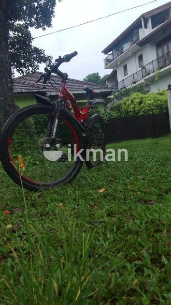 Mountain Bicycle For Sale In Ragama Ikman