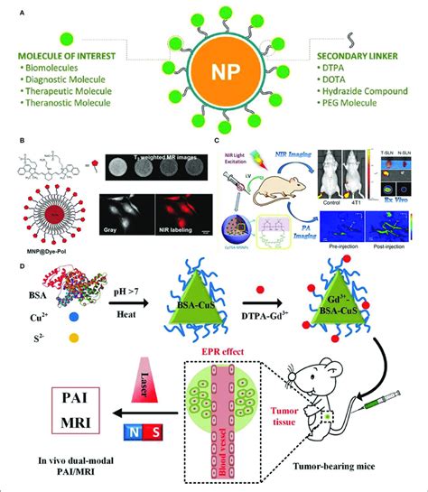 Nanoparticle Functionalization Enables Dual Modal Imaging A