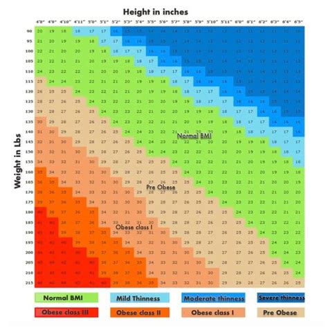 Bmi calculator women - printingqust