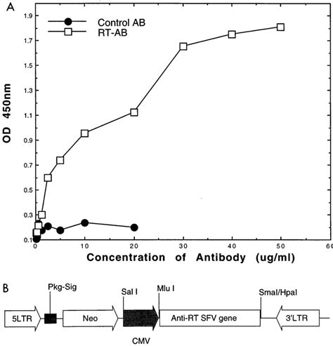 A Binding Affinity Curve For An Anti Hiv 1 Rt Mab In Vitro Binding