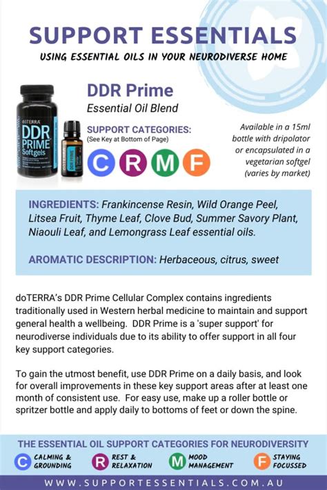 What is DDR Prime and How do I Use It in my Neurodiverse Home ...