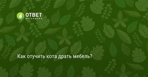 Как отучить кота драть мебель? - Ответ.Ботаничка