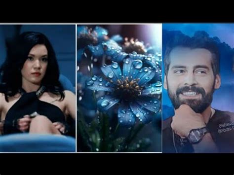 The Most Beautiful Photos From Erkan Meri And Hazal Suba Hazalsuba