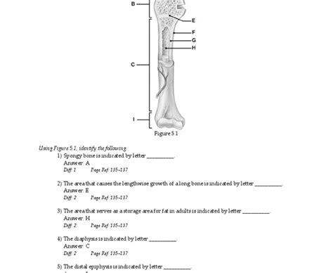 Chapter The Skeletal System Worksheet Answer Key