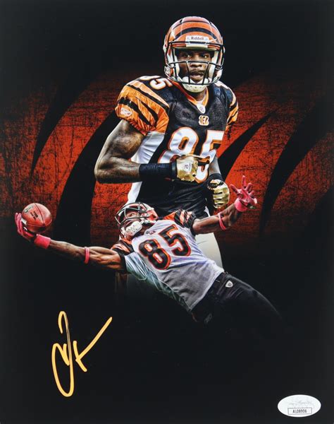 Chad Ochocinco Johnson Signed Bengals 8x10 Photo JSA Pristine Auction