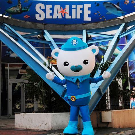 Les Octonauts débarquent à l aquarium Sea Life pour les Vacances de