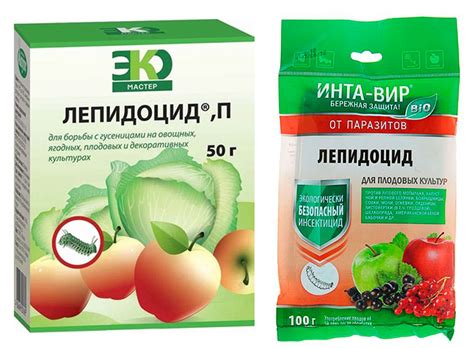 Картофельная моль – как с ней бороться, эффективные методы выведения