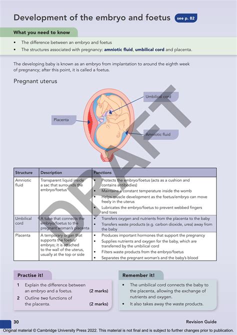 Cambridge Nationals Child Development Revision Guide Issuu Sample By