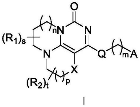 嘧啶酮并三环衍生物、其制备方法、药物组合物和用途与流程