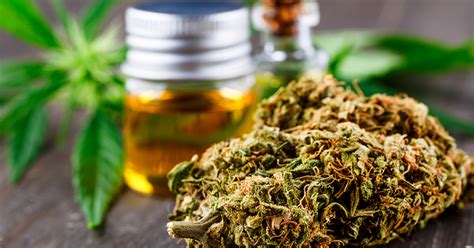 Blogbeitr Ge Rund Um Medizinisches Cannabis Witzleben Apotheke Berlin