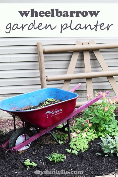 How To Make A Wheelbarrow Planter Wheelbarrow Wheelbarrow Planter