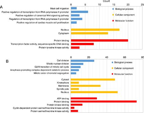 Figure From Identification Of Key Candidate Genes And Pathways In