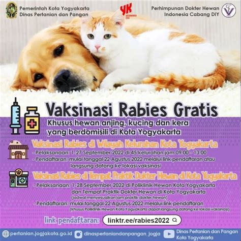 portal berita pemerintah kota yogyakarta vaksinasi rabies