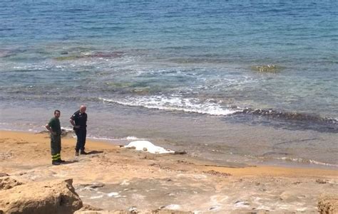 Il Mare Restituisce Il Corpo Di Alessio Atzori La Nuova Sardegna