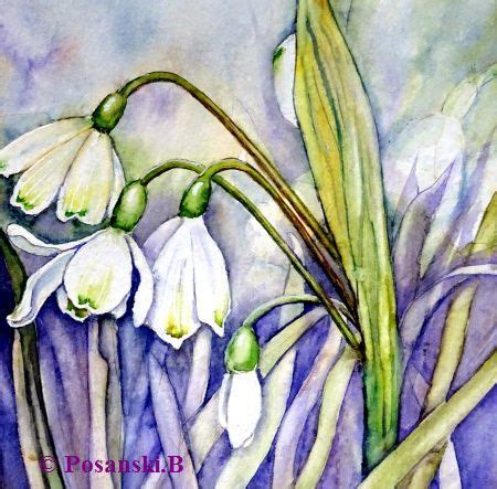 M Rzenbecher Fr Hling Aquarell Aquarelle Blumen Von Burkhard