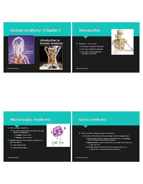Chapter 1 PDF - Human Anatomy: Chapter 1 © 2018 Pearson Education, Inc