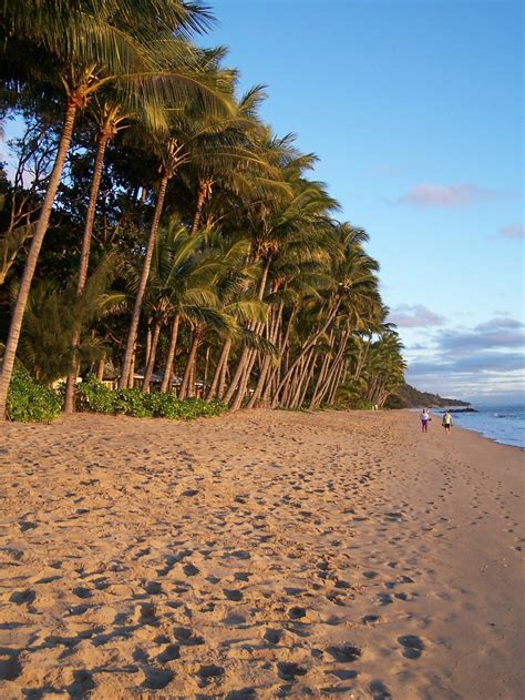 Cairns Beaches Search | Ellis Beach