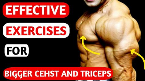 Best Exercises For Bigger Chest And Triceps Youtube