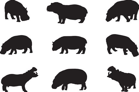 hippo silhouette set 15826979 Vector Art at Vecteezy