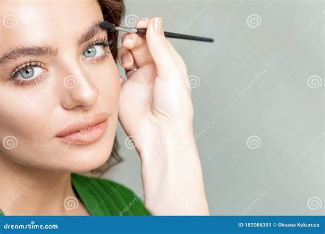 Woman With Eyebrow Brush Tool Stock Image Image Of Cosmetics Face