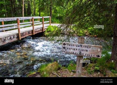 Kenai river trail hi-res stock photography and images - Alamy