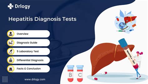 5 Best Reliable Hepatitis Test For Accurate Diagnosis Drlogy