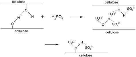 Chemical Equation Of Sugar And Sulfuric Acid - Tessshebaylo