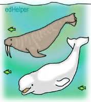 The Walrus and the Whale | edHelper.com