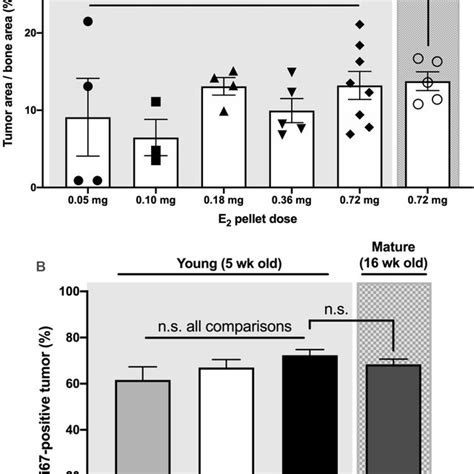 E2 Effects On Histologic Tumor Burden And Tumor Cell Proliferation In