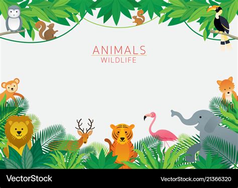 Wild Animals In Jungle Frame Royalty Free Vector Image