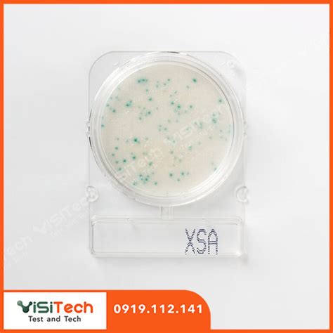 A Compact Dry Ki M E Coli V Coliforms Compact Dry Ec Nissui