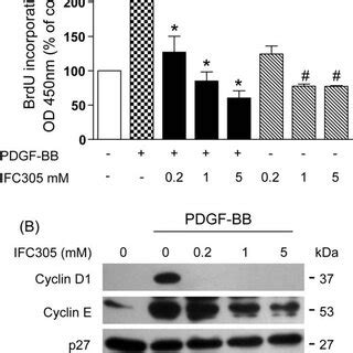 Ifc Suppresses The Pdgf Bb Stimulated Proliferation Of Hsc A