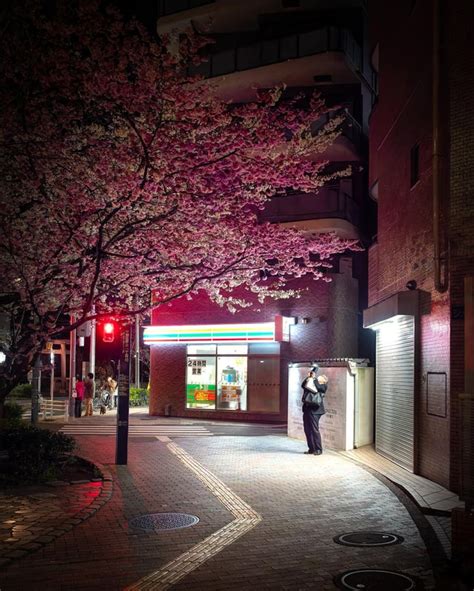 Night views of Tokyo during the sakura blossom season : r/japanpics