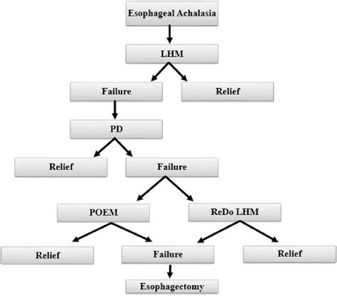 Treatment Algorithm For Esophageal Achalasia Lhm Laparoscopic Heller