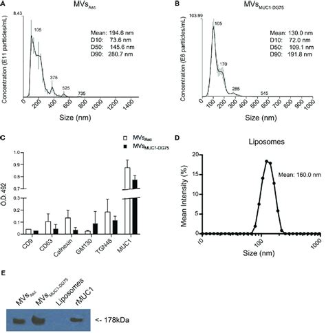 Characterization Of Tumor Derived Microvesicles MVs And Liposomes