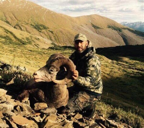 Northern Alberta Trophy Bighorn Sheep Hunting