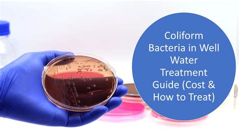 Coliform Bacteria in Well Water Treatment: Cost & How to Treat