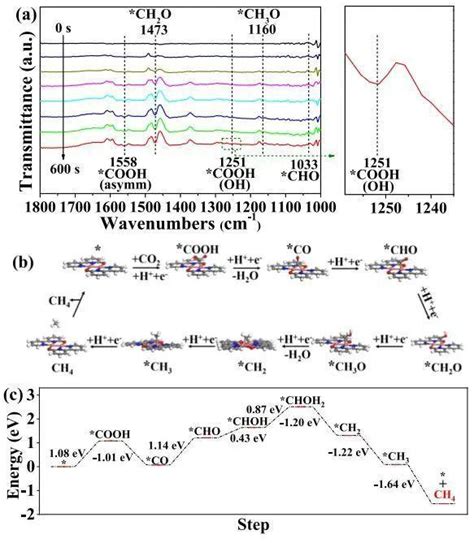 陈小明院士 廖培钦教授jacs：助力中性电解质中co2还原为ch4 知乎