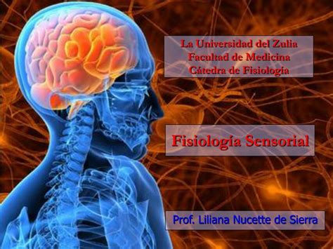 Fisiologia Sensorial Dolor Lu Udocz