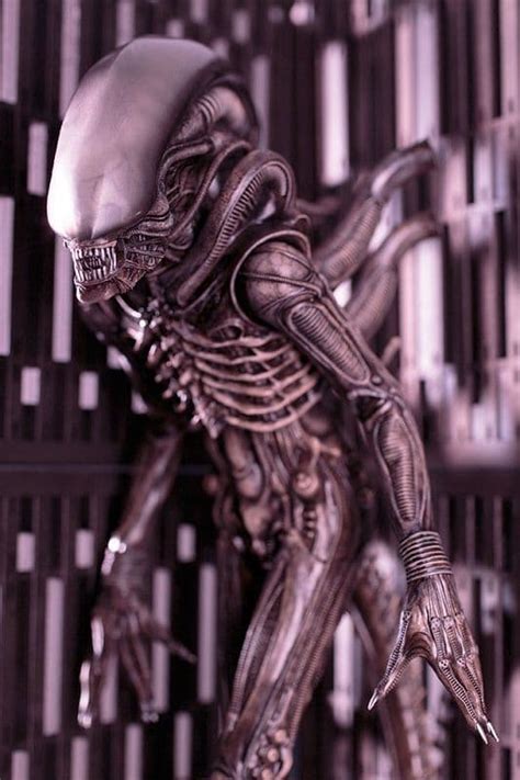 Alien Movie Xenomorph Big Chap Scale Artfx Statue From Kotobukiya