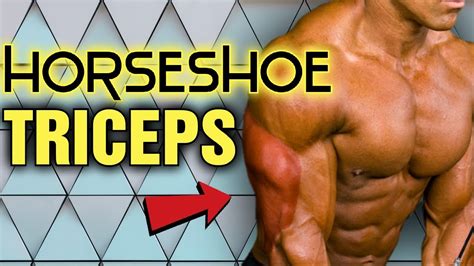 Build Horseshoe Triceps Best And Worst Exercises For Optimal Tricep